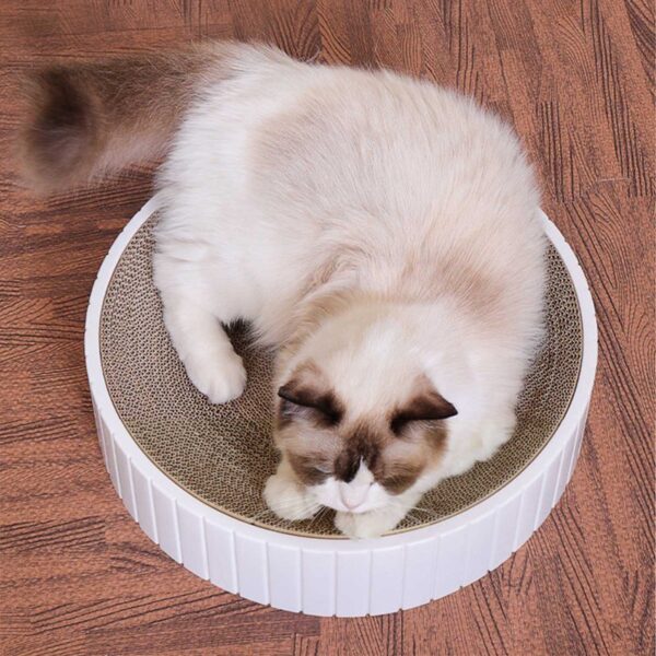 Cat Scratch Plate Round Pet Supplies