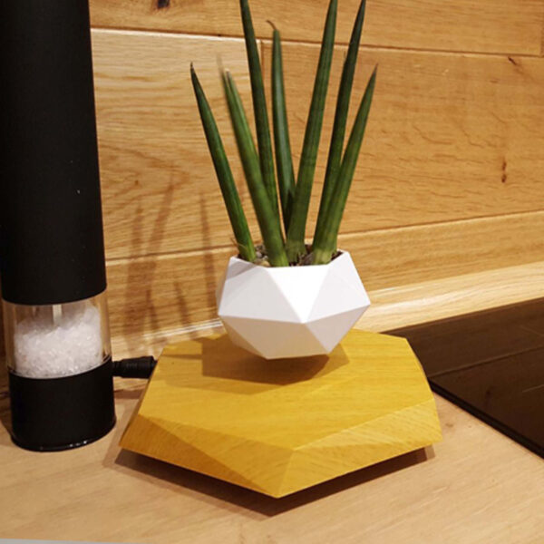 Floating Magnetic Levitating Flower Pot Bonsai Air Plant Pot Planter Potted For Home Office Desk Decor Creative Gift - Image 2