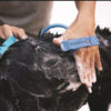 New Pet Bathing Tool Comfortable Massager Shower Tool Cleaning Washing Bath Sprayers Dog Brush Pet Supplies - Image 6